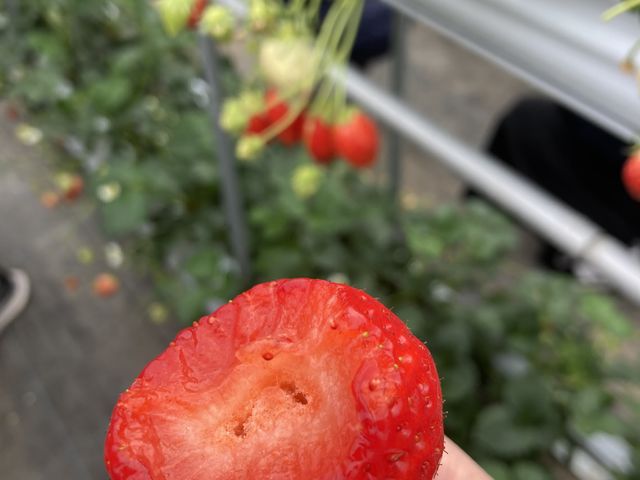 ���x���������܂Ő^���ԂȂ�䕂�����܂���_�r�{�_��