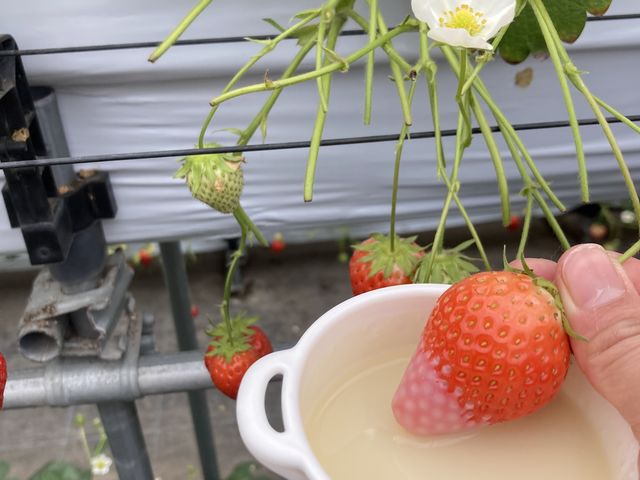 ���ɂイ���Q_�r�{�_��