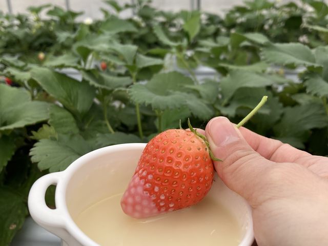 ���ɂイ���Q�I�I_�r�{�_��