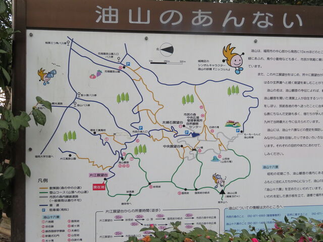 ���R�s���̐X_���R�s���̐X