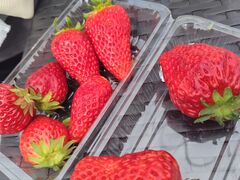 ��������񂳂�̏���_���ւ̓��e�ʐ^1