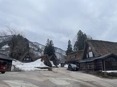 �������񂳂�̑��q��������W���ւ̓��e�ʐ^1