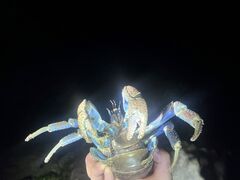 񂳂̐Ί_ ADVENTURE PiPiւ̓eʐ^1