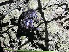 Í̃X^[CtΊ_ւ̓eʐ^1