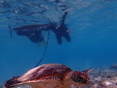 CHKChinajun Zamamiւ̓eʐ^1