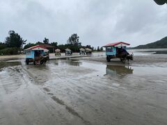 ݂񂳂̔dRόtF[ւ̓eʐ^1