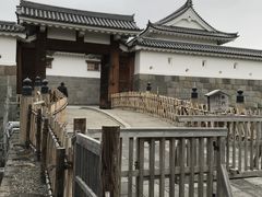 Shotȁx{隬ւ̓eʐ^1