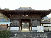 Shota����̓S�M���̓��e�ʐ^1