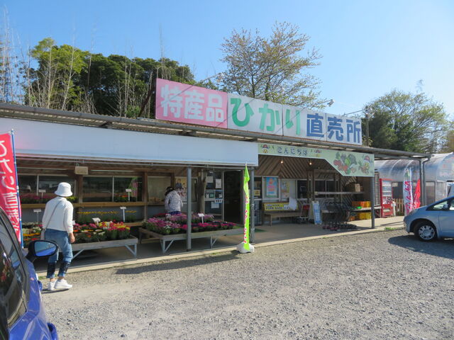 �Ђ�����Y�i������_�Ђ�����Y�i������