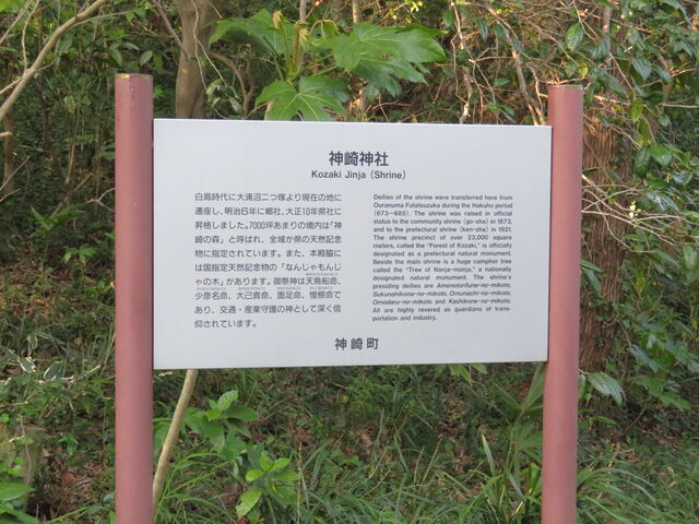 �_��_��
�Ȃ񂶂���񂶂�̖؁i���j_�_��_��