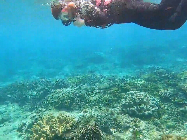 �V���m�[�P��_KEIMII MARINE