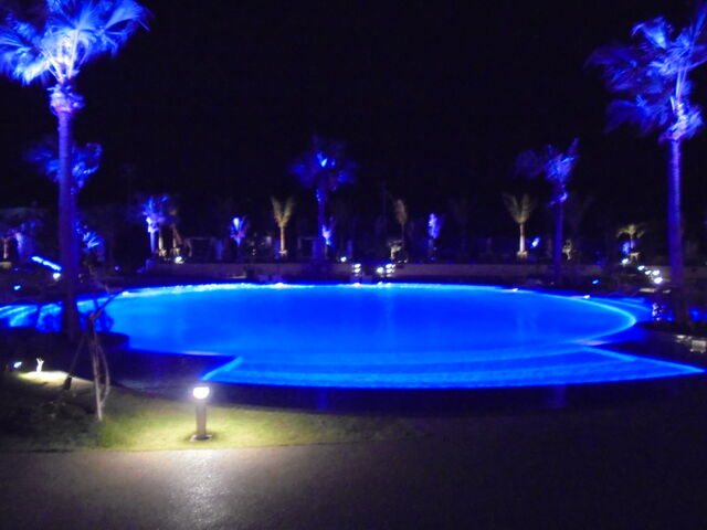 u[̏Ɩꂢȃv[_OhL[cg][g