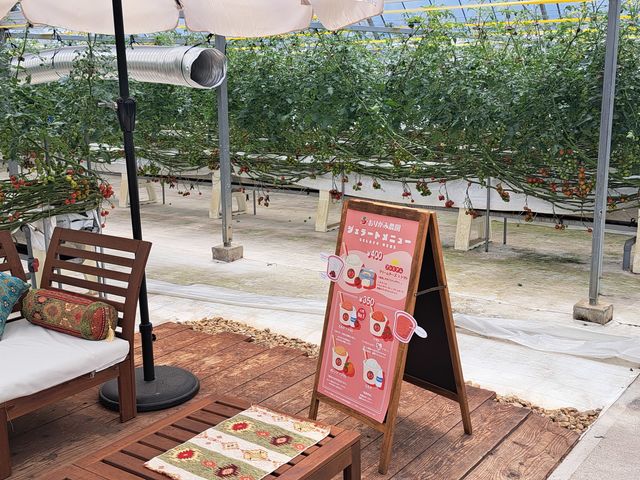 �W�F���[�g_���肪�ݔ_��