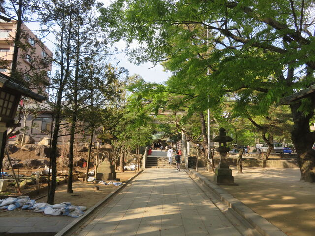 �D����_�{
��_�{���w����̎Q��_�D����_�{