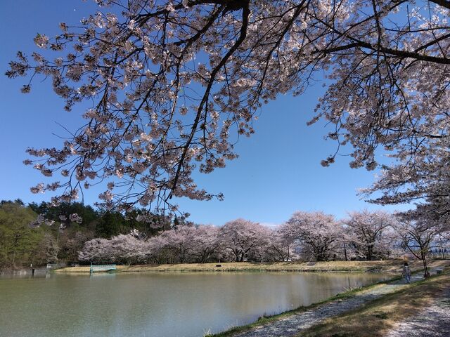 ���̉w �ӂꂠ���p�[�N�쑽�̋� ������̍�