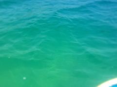 [̐Ί_ ADVENTURE PiPiւ̓eʐ^1