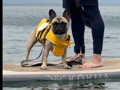 Crib@inawashiro̎ʐ^1