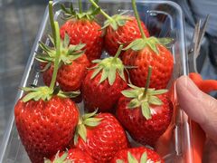 񂶂񂳂̂Ѓt@[ւ̓eʐ^1