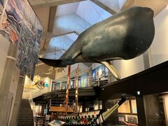 ���݂�������̓��̉w �L�����b�Z���˂ւ̓��e�ʐ^1