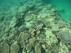 E񂳂̐Ί_ ADVENTURE PiPiւ̓eʐ^1