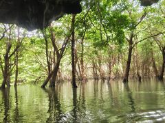 zbgRRA̐Ί_ ADVENTURE PiPiւ̓eʐ^1