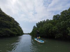 zbgRRA̐Ί_ ADVENTURE PiPiւ̓eʐ^2