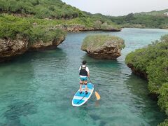 [̃I[X[Vm[P{Óւ̓eʐ^3