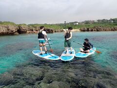 [̃I[X[Vm[P{Óւ̓eʐ^4