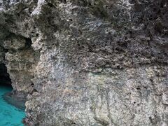 ₷̐Ί_ ADVENTURE PiPiւ̓eʐ^1