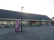 L̐VNsỉw y̗j̓eʐ^1