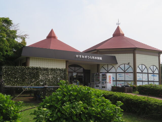 �����݂�����s������_�����݂�����s������