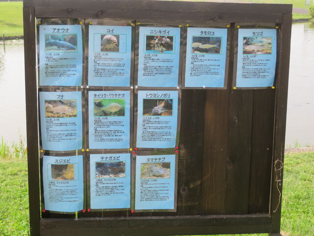 �����݂�����s������_�����݂�����s������