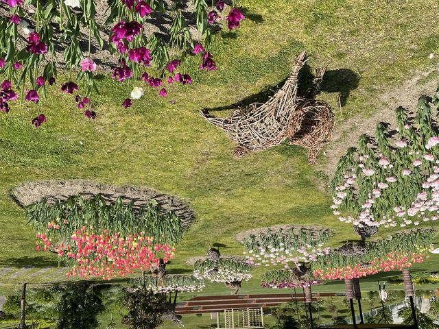 �L�X�Ƃ��Ă̂�т�o���܂�_�k�ʓs�K�[�f��