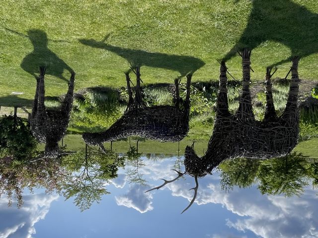 �f�G�ȃI�u�W�F_�k�ʓs�K�[�f��