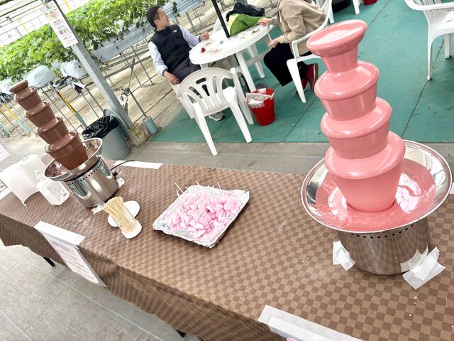 �`���R���[�g�t�@�E���e���͖��͓I�ł��I�r������}�V���}�����o���Ă��������܂���_�x���[�Y�t�@�[���@FUSHIMI