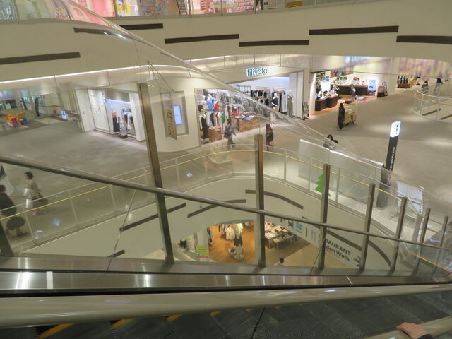 �C�I�����C�N�^�E��mori_�C�I�����C�N�^�E��mori