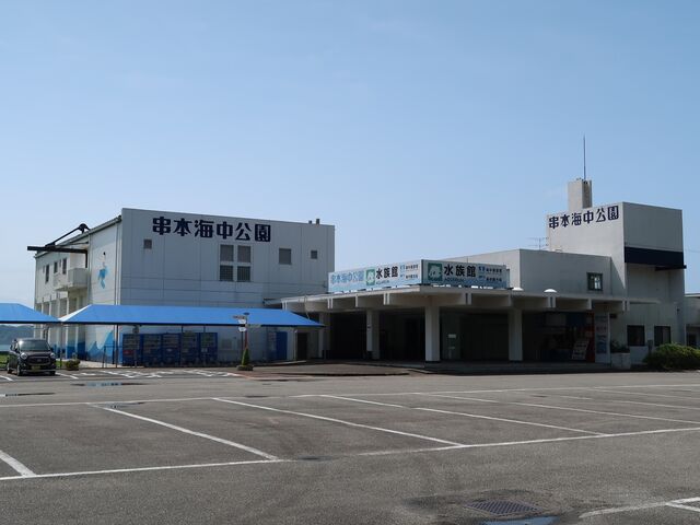 ���{�C������