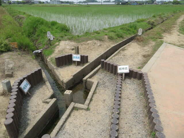 ̉w@킽点
O_̉w@킽点