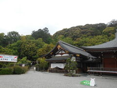 �g�V���[����̎O�֎R�ւ̓��e�ʐ^1