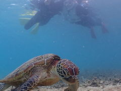 Ƃ܂قOKIDOKI}cA[{Óւ̓eʐ^2