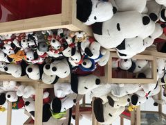 �肱����̃X�k�[�s�[�~���[�W�A���ւ̓��e�ʐ^1