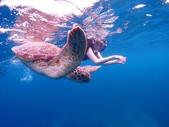 񂳂calmΊ_ւ̓eʐ^2