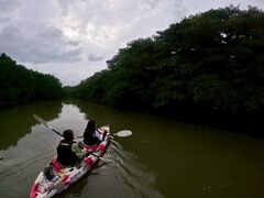 c̐Ί_ ADVENTURE PiPiւ̓eʐ^1