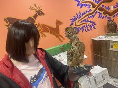 コ̃ANAtHXg@-̐X-ւ̓eʐ^1