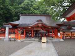 �Ђł���񂳂�̌F��ߒq��Ђւ̓��e�ʐ^1