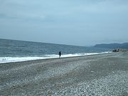 [񂳂̃qXCC݂̓eʐ^1