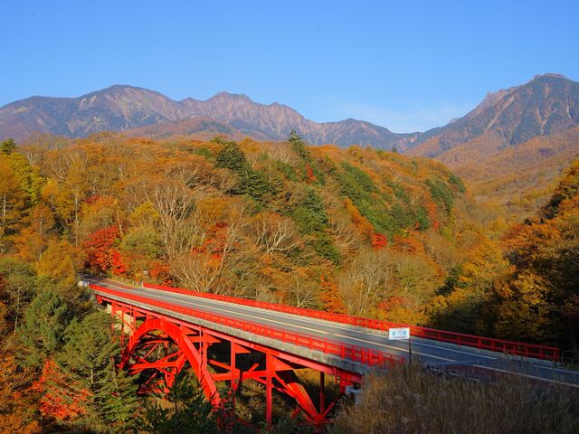 �H�̓���勴_�얓��k�J