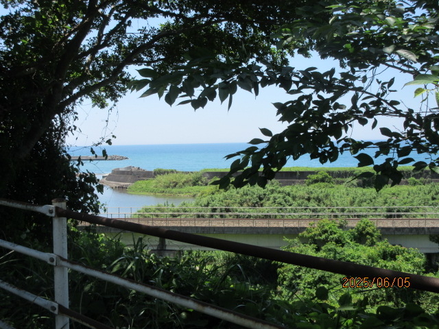 ������T�C�N�����O���̎ʐ^�I���[�h�T�C�N���U���ԂT�O�O�~�ƈ����I_���̉w �₷