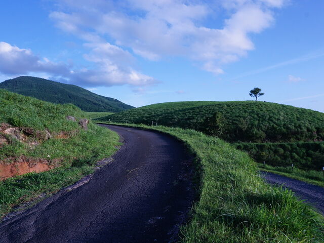 �򌴍����I�_�A�㏰�q������̕��i�ł��B�ό��n�ł͂���܂���̂œX�����̋@�����������Ƃ���ł��B_�򌴍���