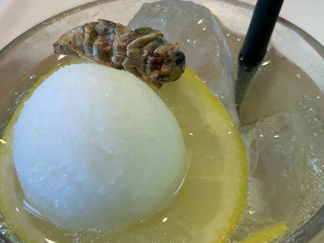 �J���J���Ŕ��������I_�����HTAKEO �󑐖{�X